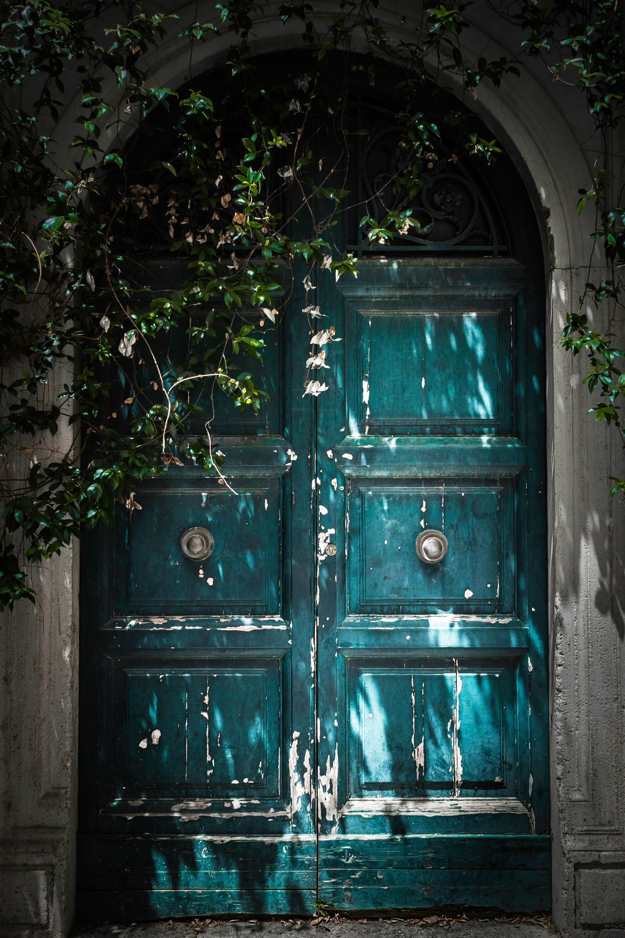 images of different doors in the world